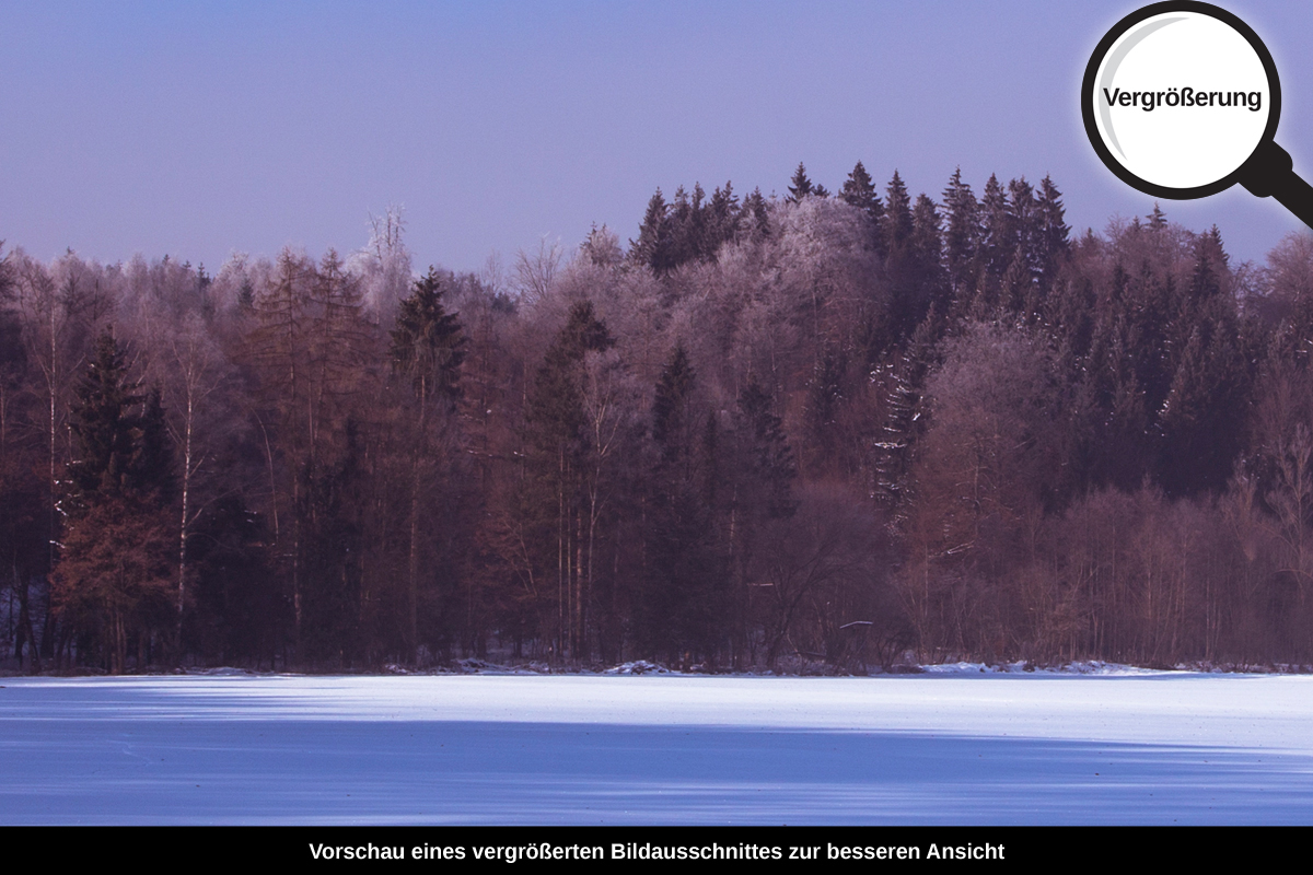 3-108-1371-bild-gross-winterfeld-frostig-sonnig_l