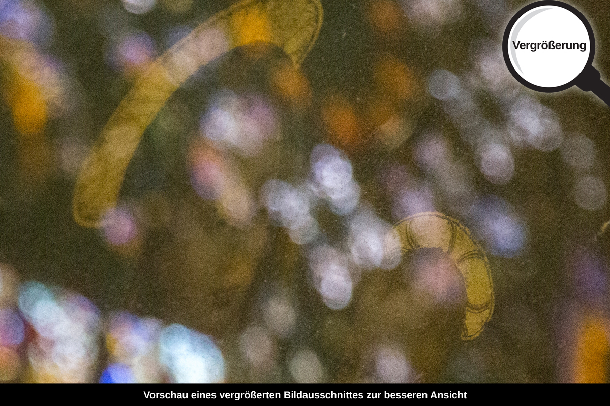 3-101-1401-bild-gross-ikone-verspiegelung_l