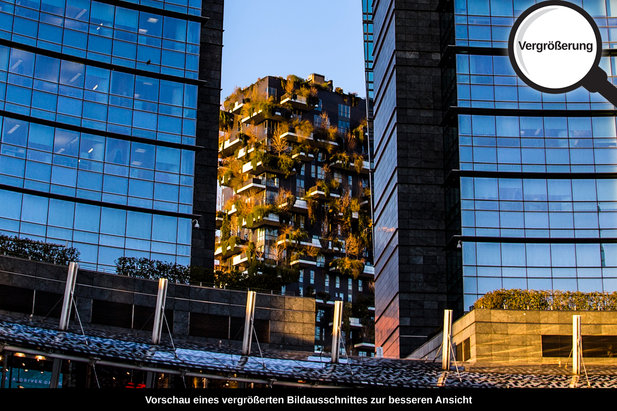 3-113-1321-bild-gross-wolkenkratzer-glas-beton-stadt_l