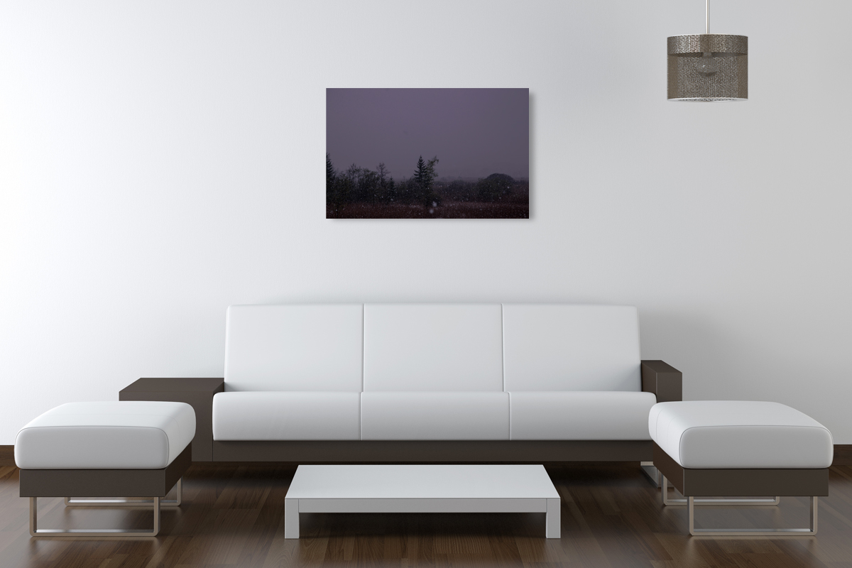 2-108-1567-praxis-baum-schneefall-wind-galerie-onlineshop_l