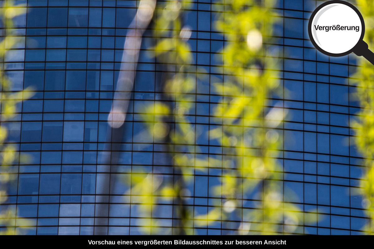 3-113-1366-bild-gross-zweige-gebaeude-riesengross_l