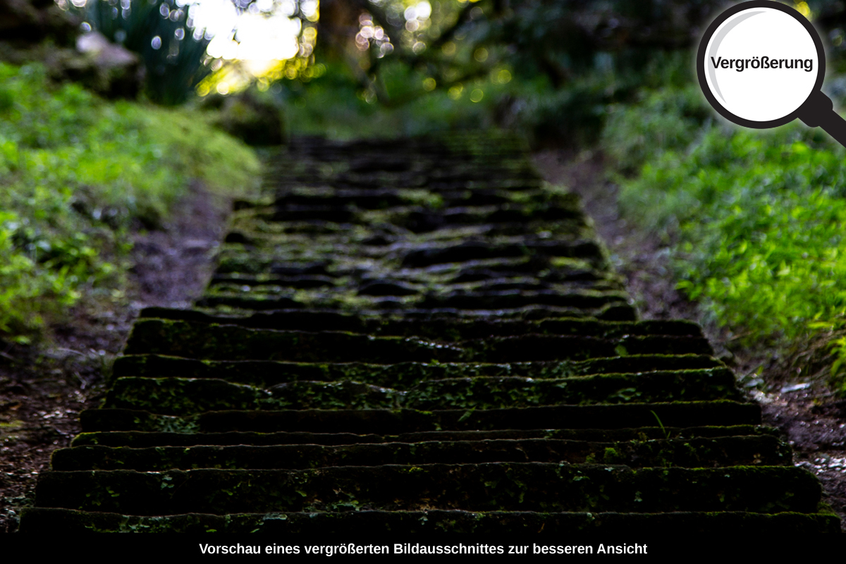 3-108-1635-bild-gross-treppe-spaziergang-park-sommer_l