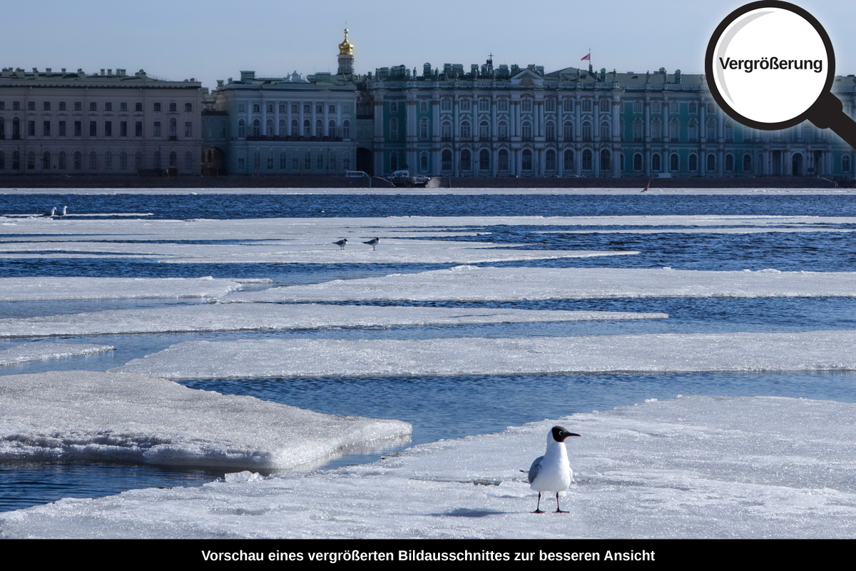 3-113-1508-bild-gross-winterschloss-petersburg-eisfluss-reisen_l