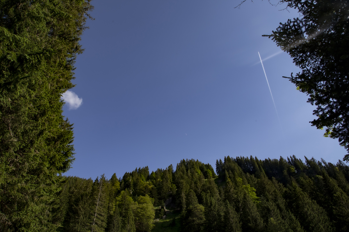 1-104-1169-blaues-himmel-wald-einzigartig-fotografie_l