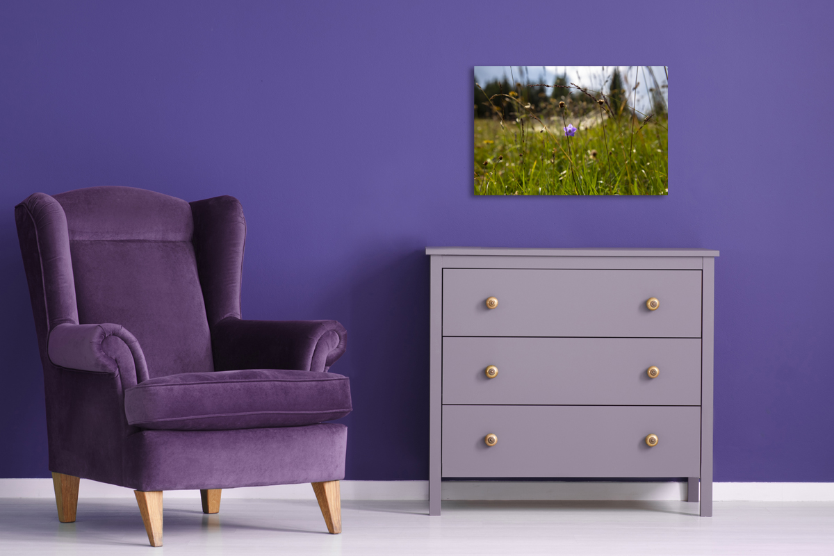 2-104-1229-schlafzimmer-gras-blume-natur-exklusive-bilder-fotokunst_l