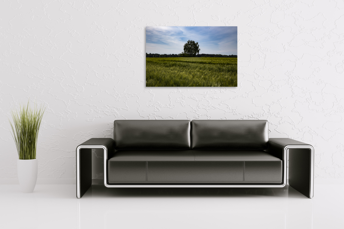 2-105-1092-wohnzimmer-feld-wind-einsamer-baum-unter-dem-himmel-leinwand-limitiert_l