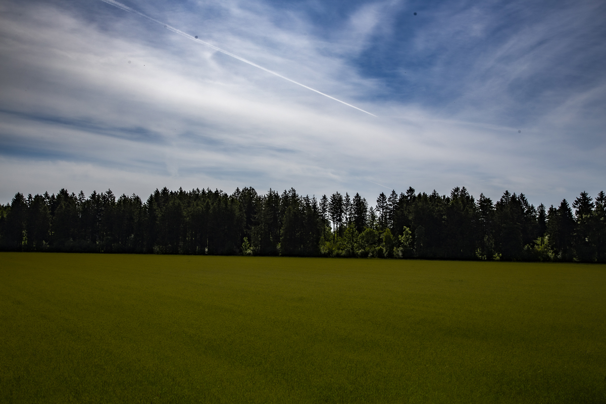 1-105-1094-himmel-wolken-gruenes-feld-leinwandbilder-malerei_l