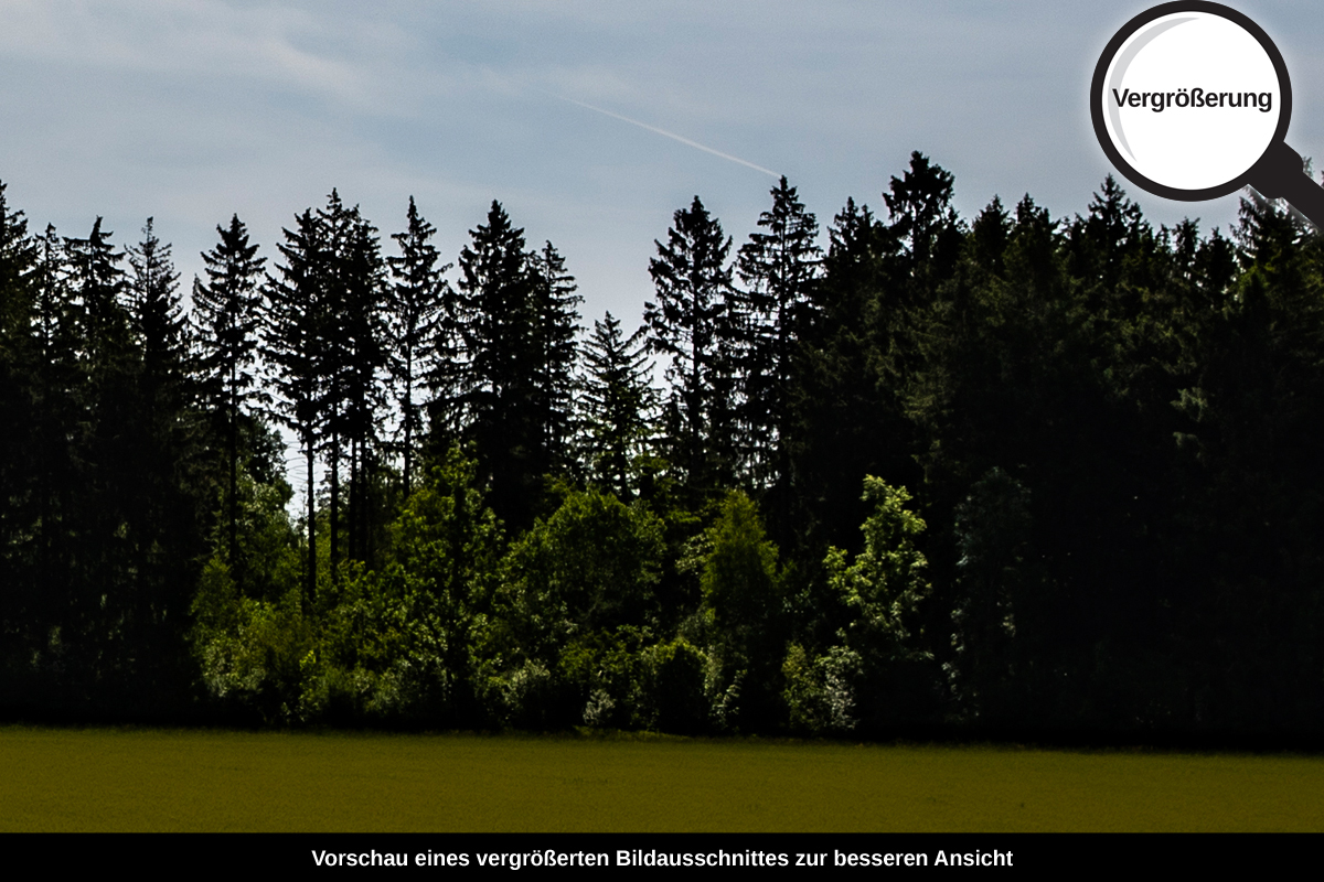 3-105-1094-bild-gross-himmel-wolken-gruenes-feld_l