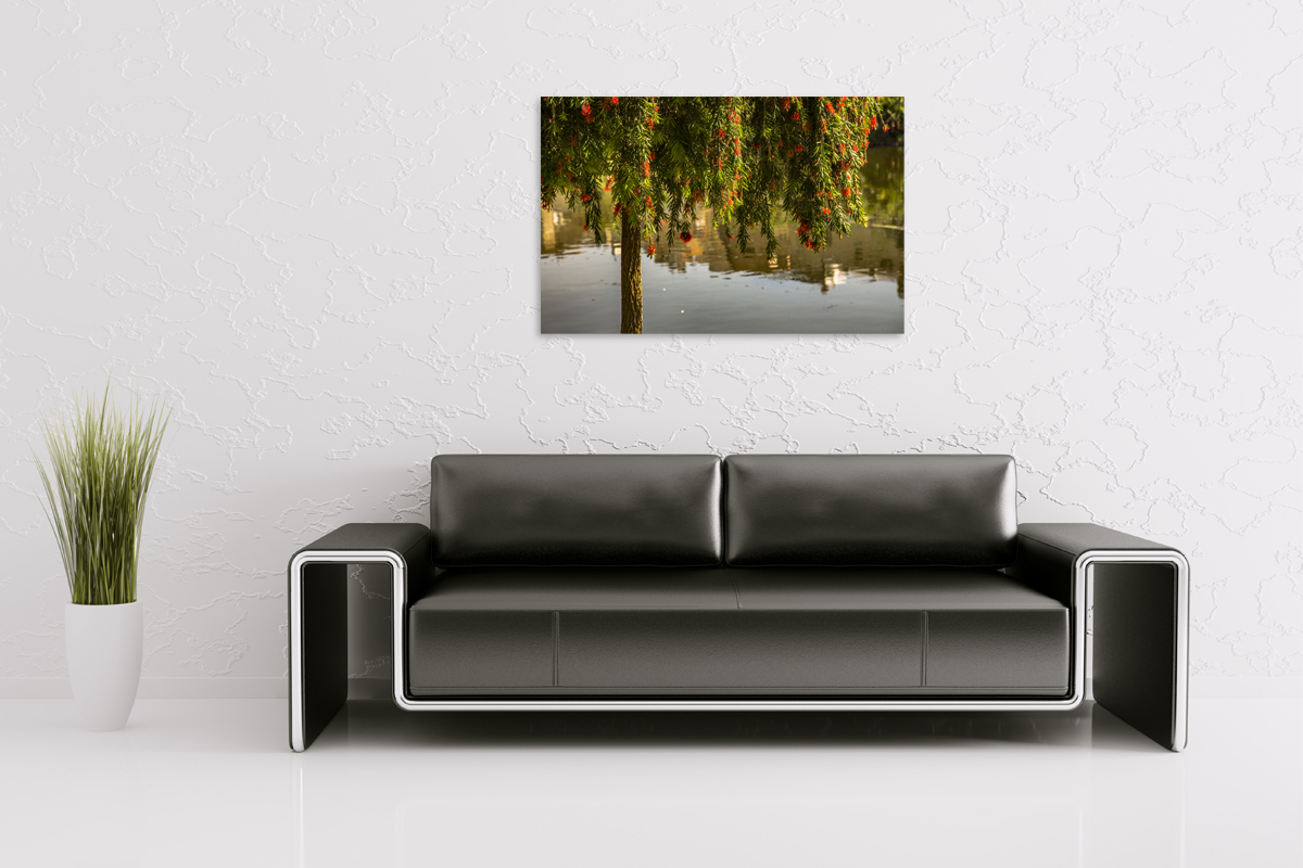 2-108-1559-wohnzimmer-baum-bluehen-wasser-fotokunst-poster_l