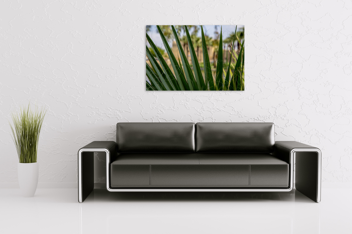 2-108-1562-wohnzimmer-blaetter-palme-sonne-portraets-fotokunst-online-kaufen_l