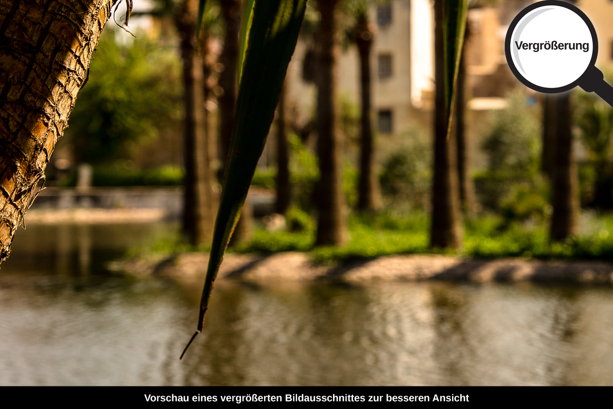 3-108-1566-bild-gross-am-ufer-kanal-sommer_l