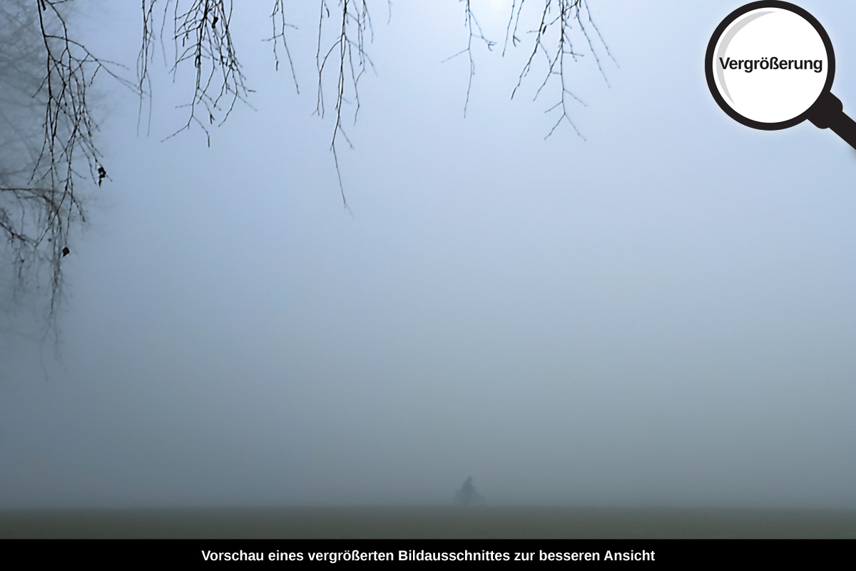 3-104-1032-bild-gross-morgen-nebel-feld_l