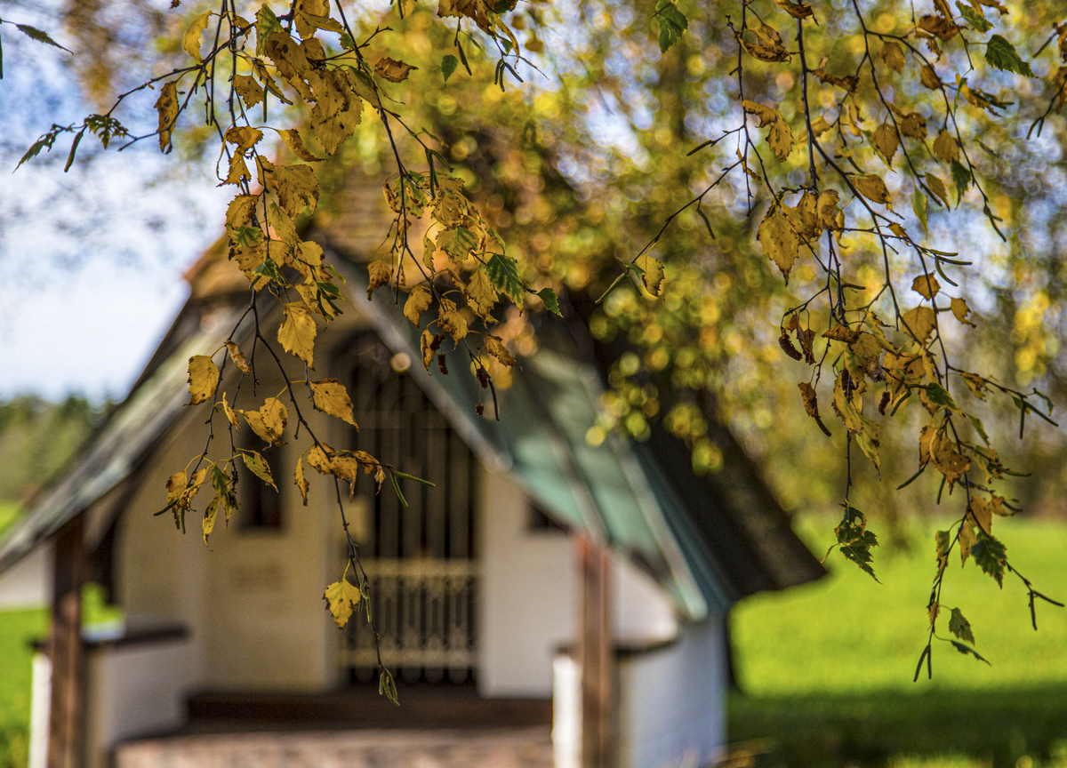 1-104-1074-garten-haus-herbst-baeume-bilder-kaufen-online-bilderrahmen_l