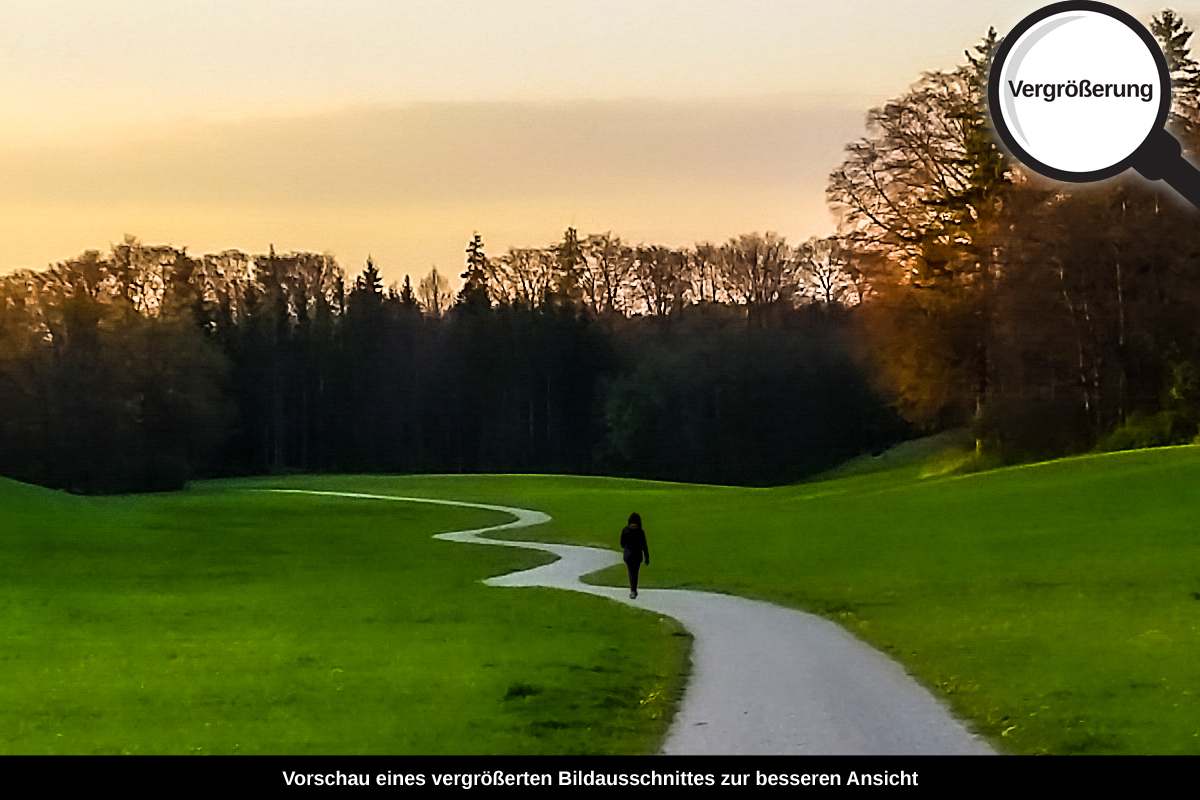 3-105-1026-bild-gross-gras-weg-spaziergang_l