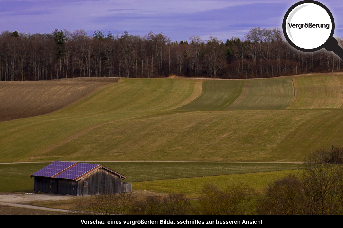 3-105-1040-bild-gross-feld-landschaft-dorf_l