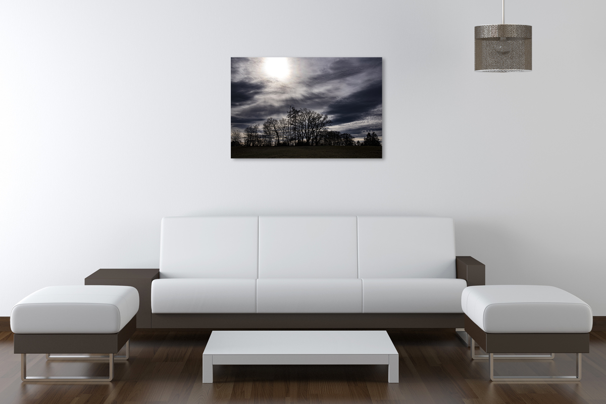 2-108-1037-wohnzimmer-baum-feld-abend-sonderanfertigungen-wandbilder_l