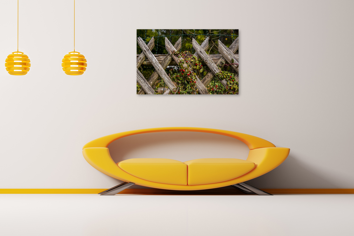 2-109-1038-wohnzimmer-zaun-holz-beere-exklusive-bilder-freude-der-kunden_l