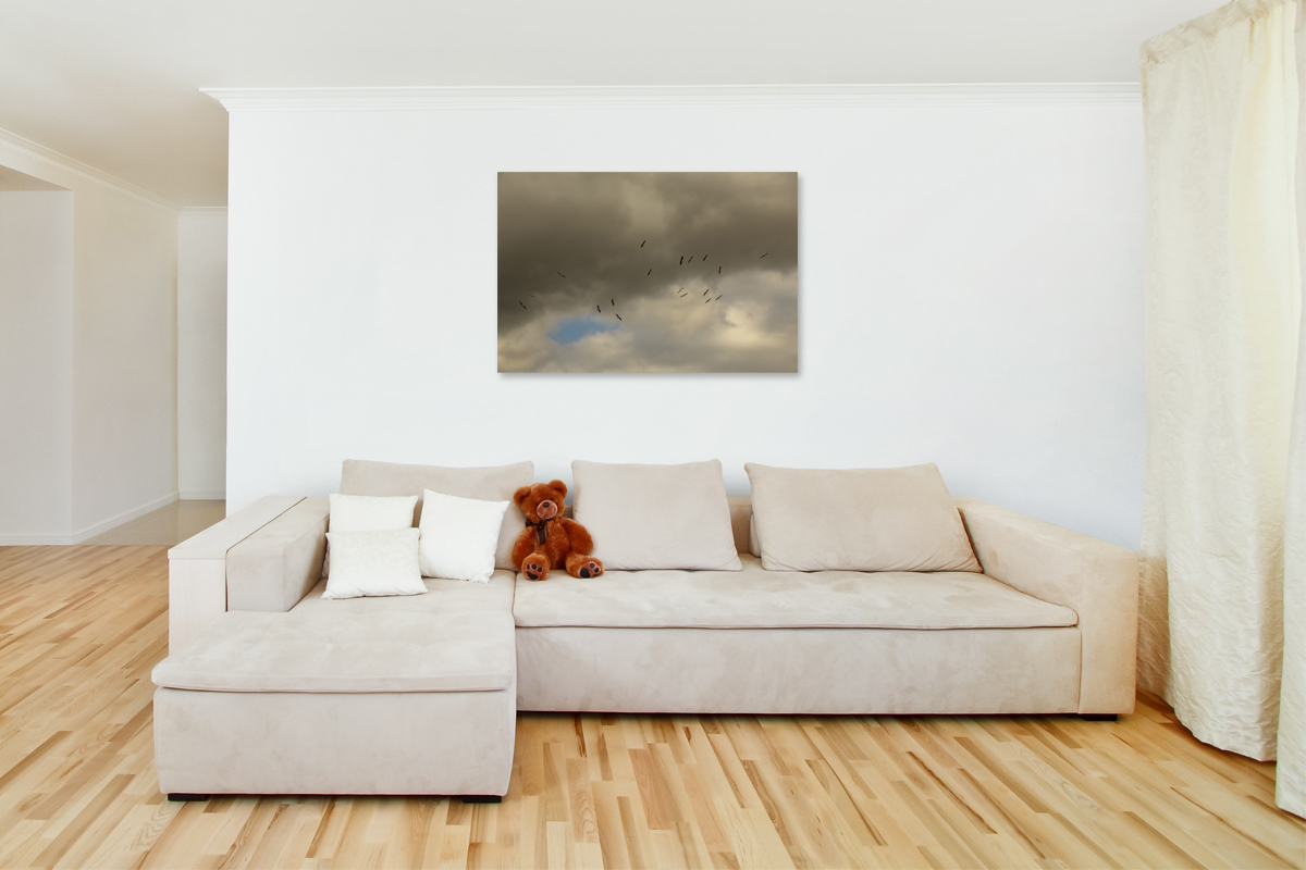 2-114-1075-wohnzimmer-voegel-regenwolken-flug-malerei-sammlungspraesentation_l