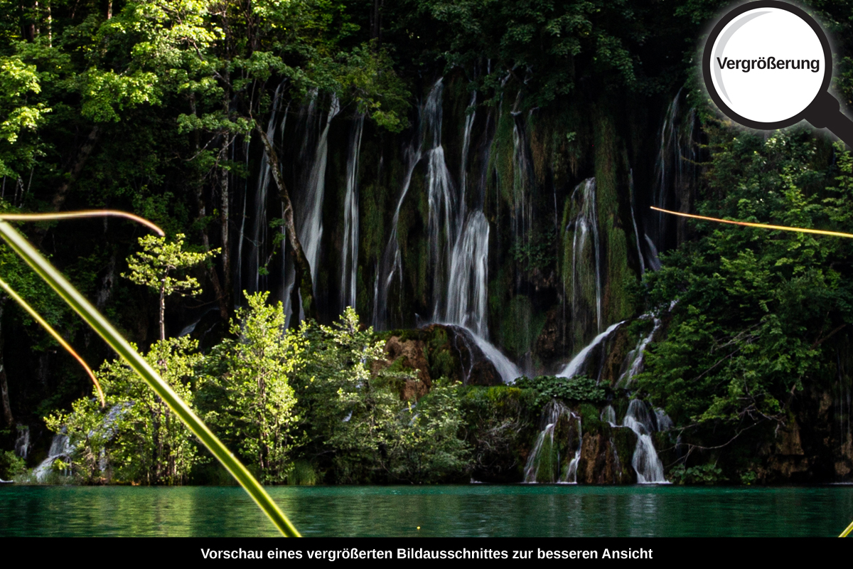 3-108-1129-bild-gross-frische-sommer-schoenheit_l