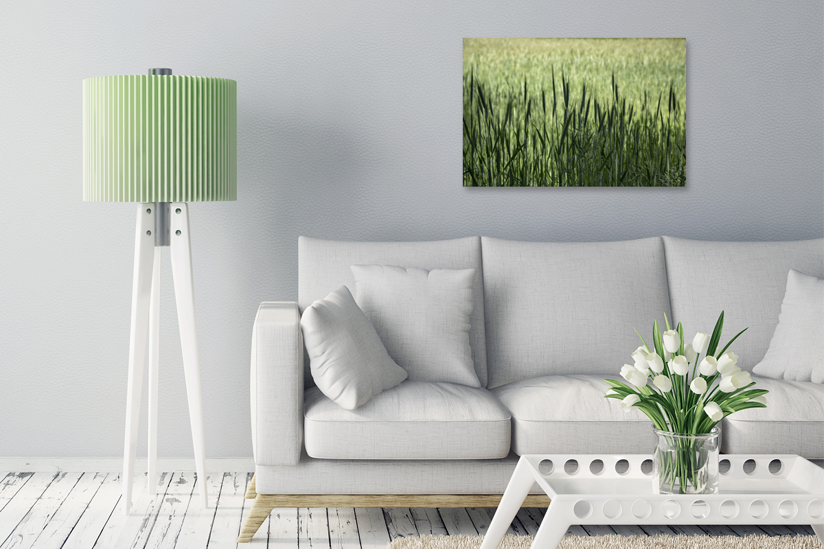 2-104-1101-wohnzimmer-guener-rasen-bilderrahmen-contemporary-art_l