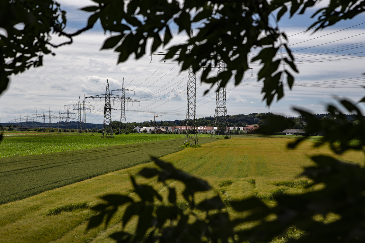 1-105-1108-laub-feld-starkstromleitung-leinwanddrucke-motive_l