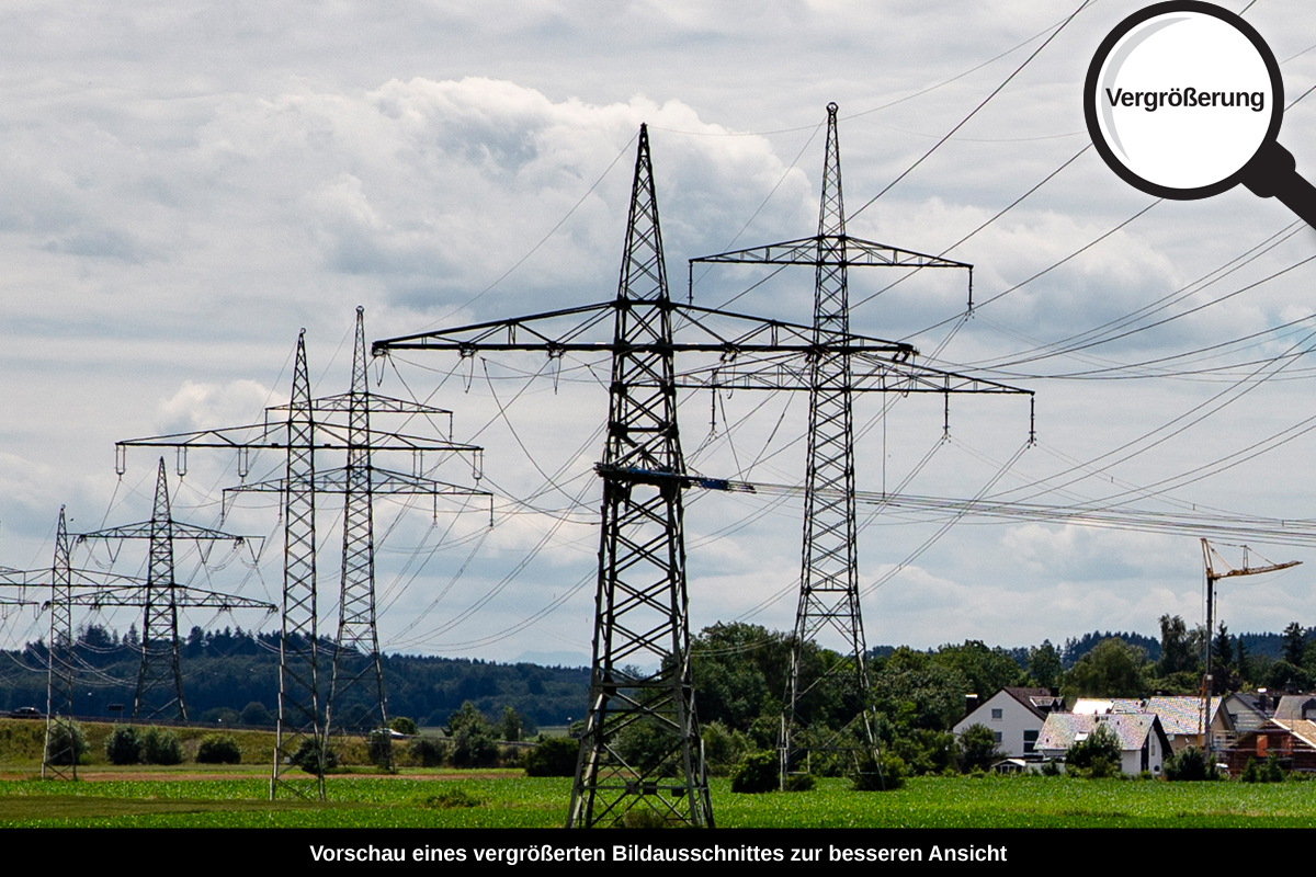 3-105-1108-bild-gross-laub-feld-starkstromleitung_l