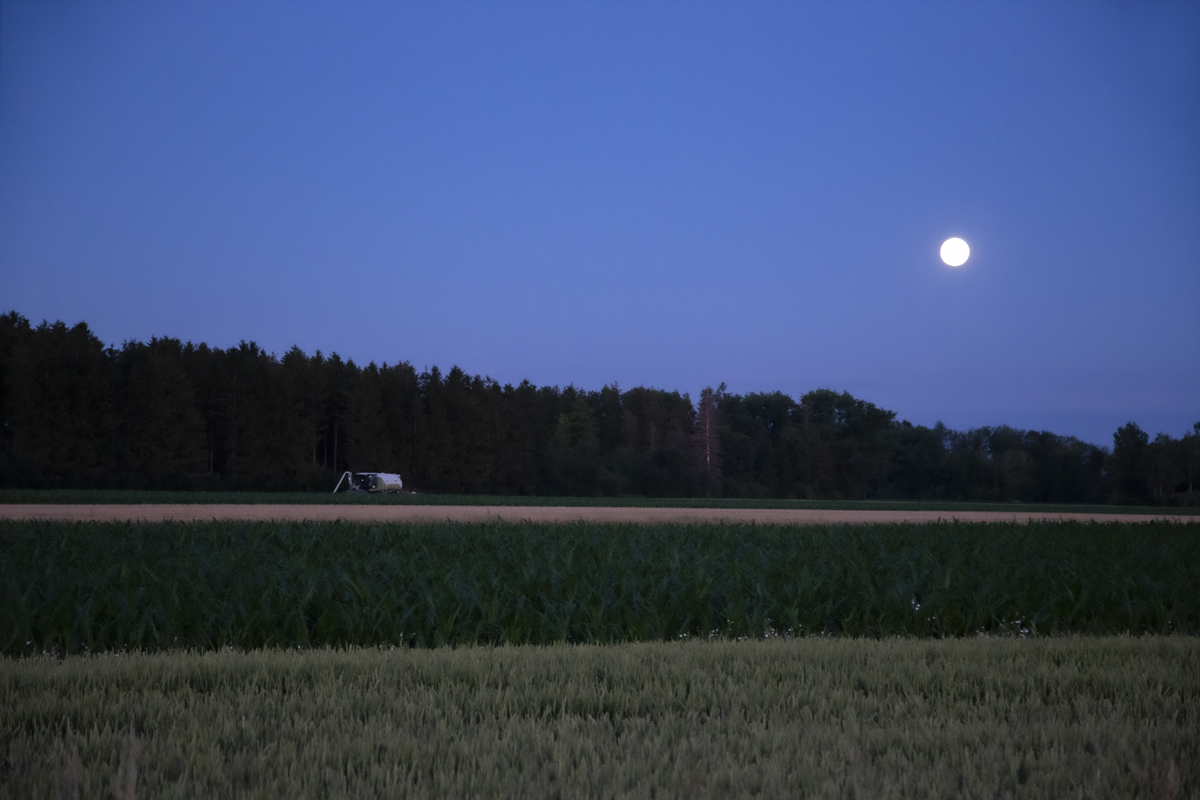 1-105-1116-feld-nacht-mond-uebernachtung-limitiert-muenchen-bilder_l