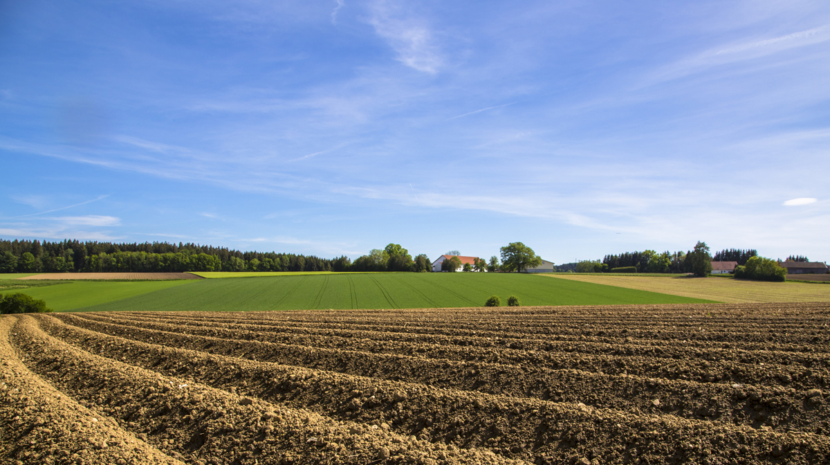 1-105-1167-ackerfeld-himmel-online-shop-personalisierung_l