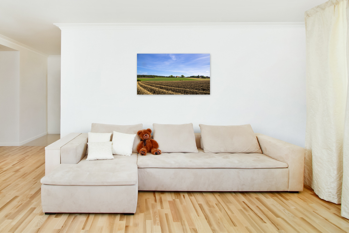 2-105-1167-wohnzimmer-ackerfeld-himmel-online-shop-personalisierung_l