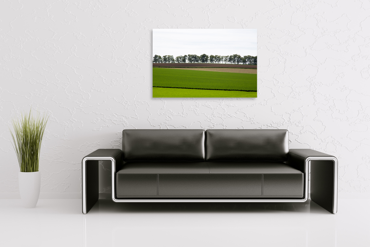2-105-1170-wohnzimmer-gras-feld-baeume-onlineshop-portraets_l