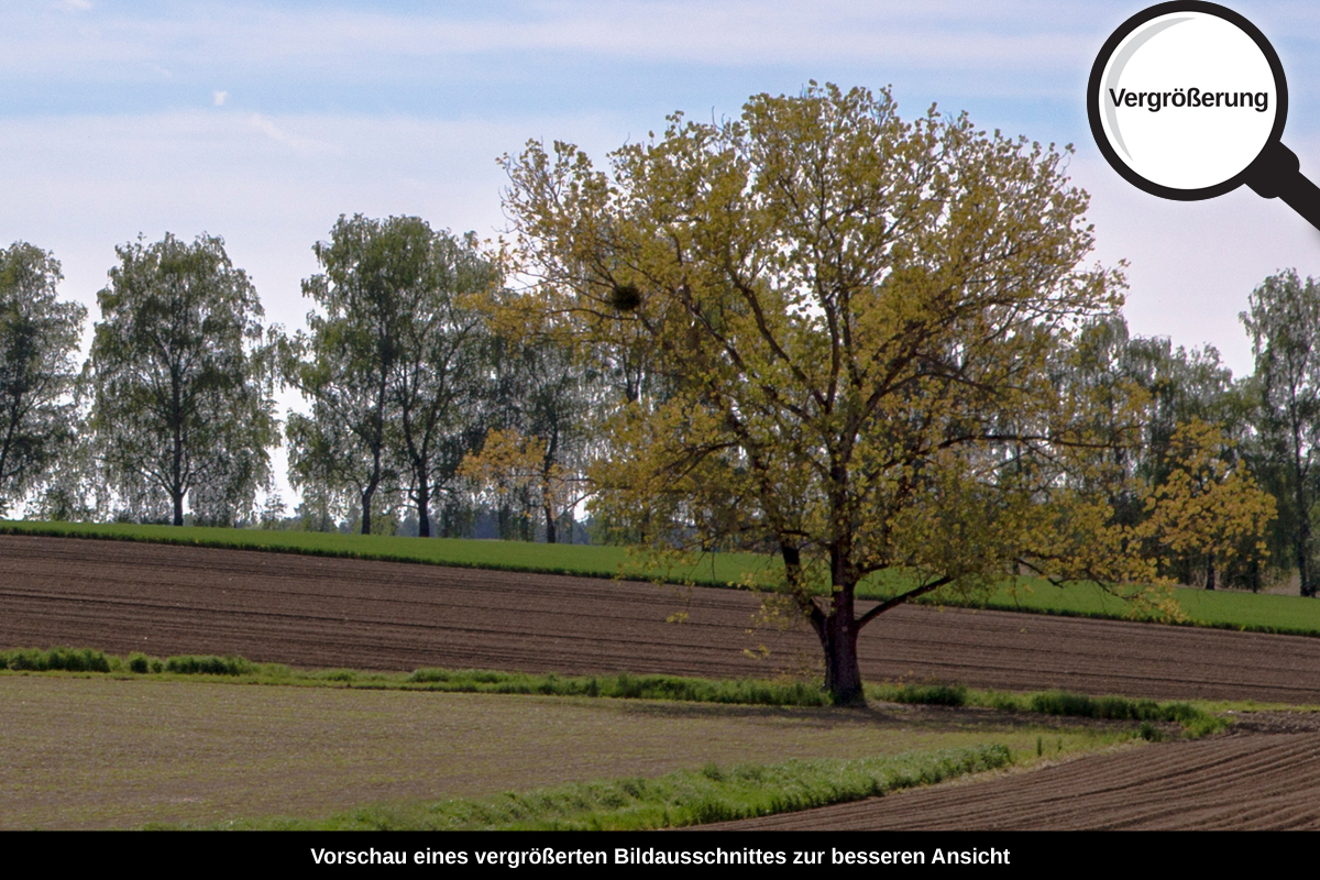 3-105-1171-bild-gross-blauer-himmel-acker_l