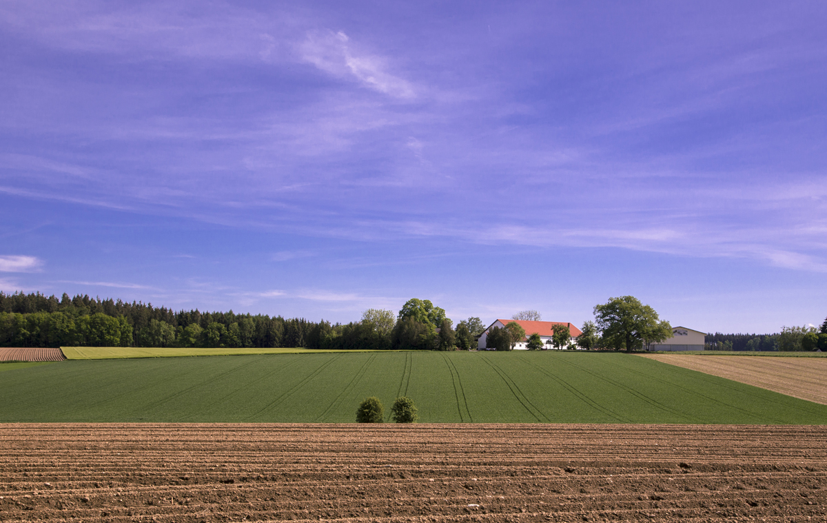 1-105-1173-landschaft-acker-himmel-personalisierung-praesentation_l