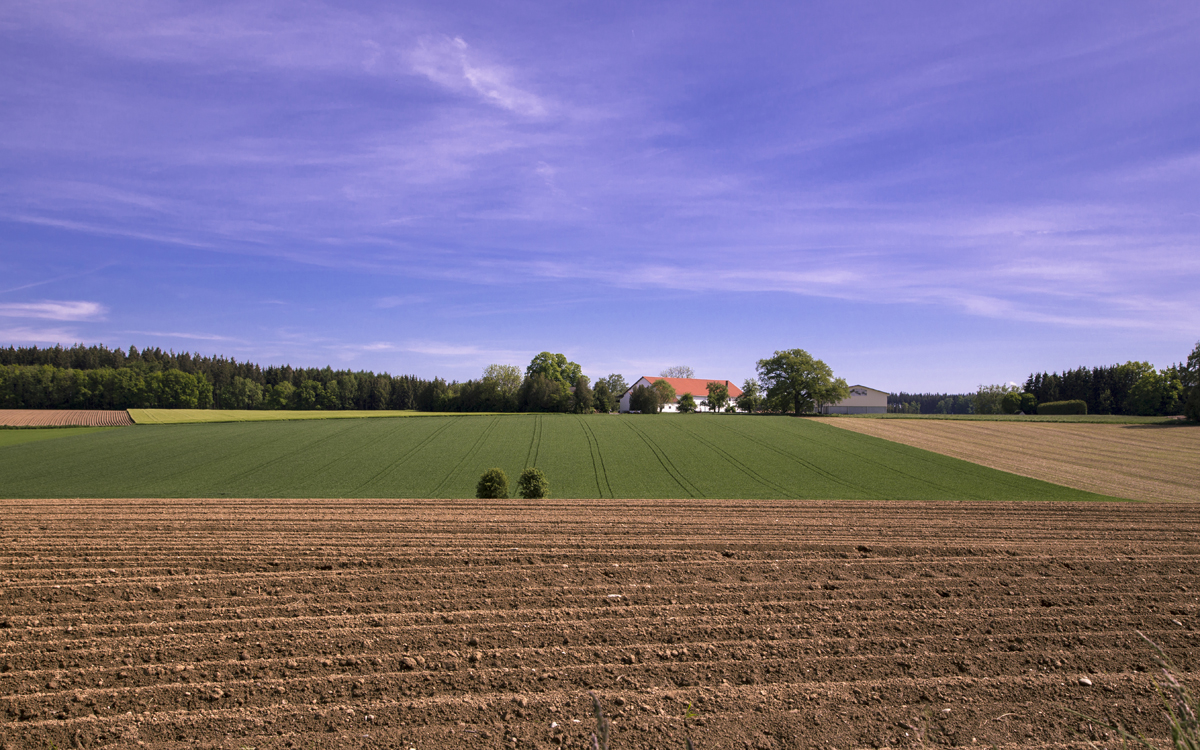 1-105-1173-landschaft-acker-himmel-personalisierung-praesentation_l