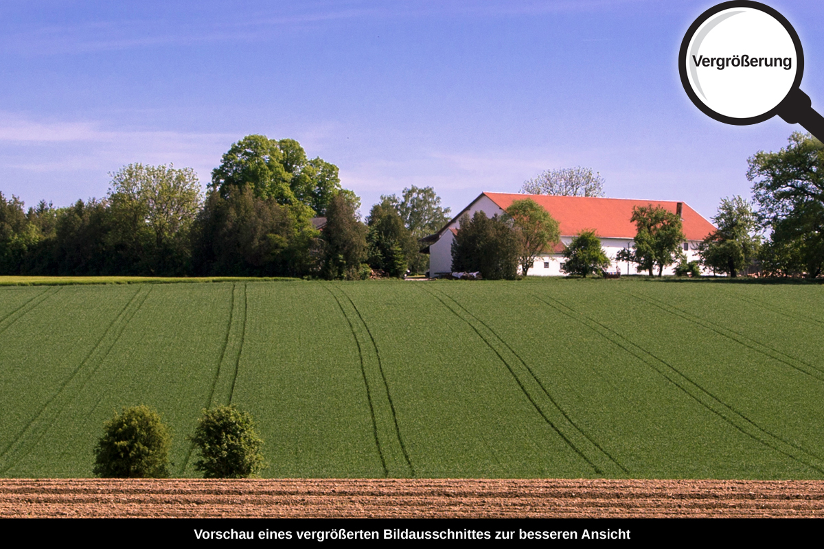 3-105-1173-bild-gross-landschaft-acker-himmel_l