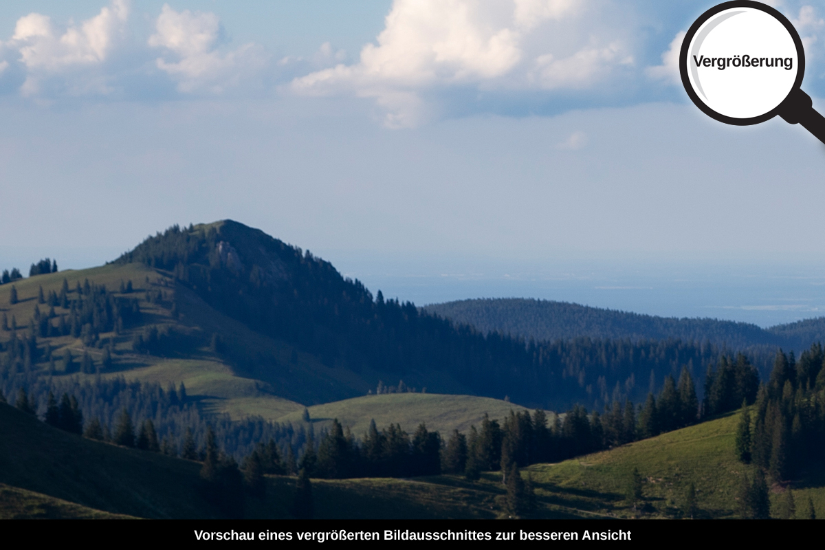 3-105-1175-bild-gross-bergen-himmel-baeume_l