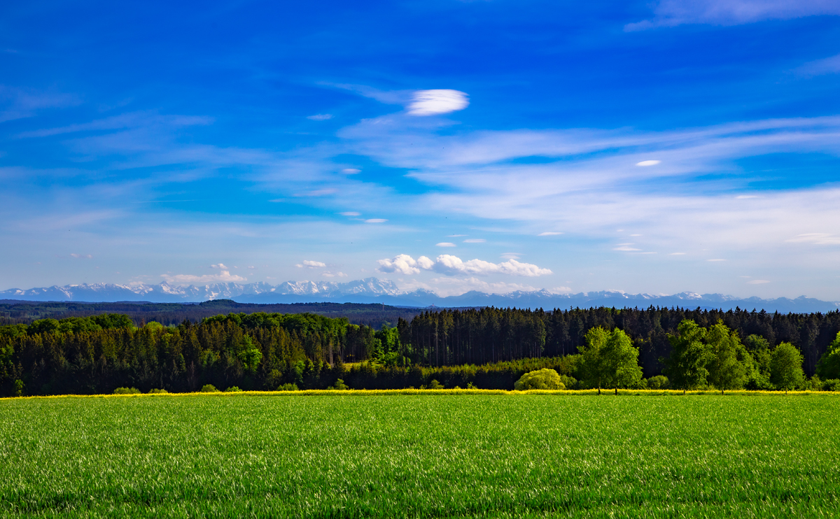 1-105-1183-gruenes-gras-berge-in-der-ferne-himmel-praesentation-sammlungspraesentation_l