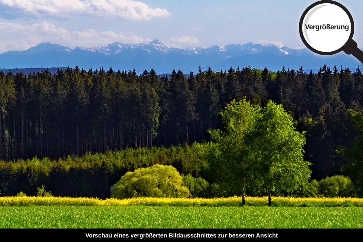 3-105-1183-bild-gross-gruenes-gras-berge-in-der-ferne-himmel_l