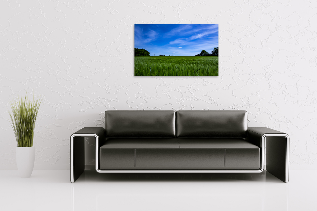 2-105-1188-wohnzimmer-gras-himmel-wolken-prints-sonderanfertigungen_l