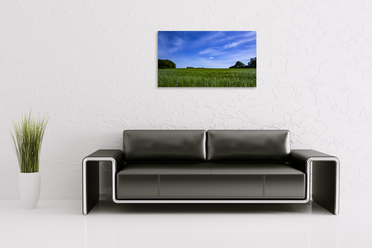 2-105-1188-wohnzimmer-gras-himmel-wolken-prints-sonderanfertigungen_l