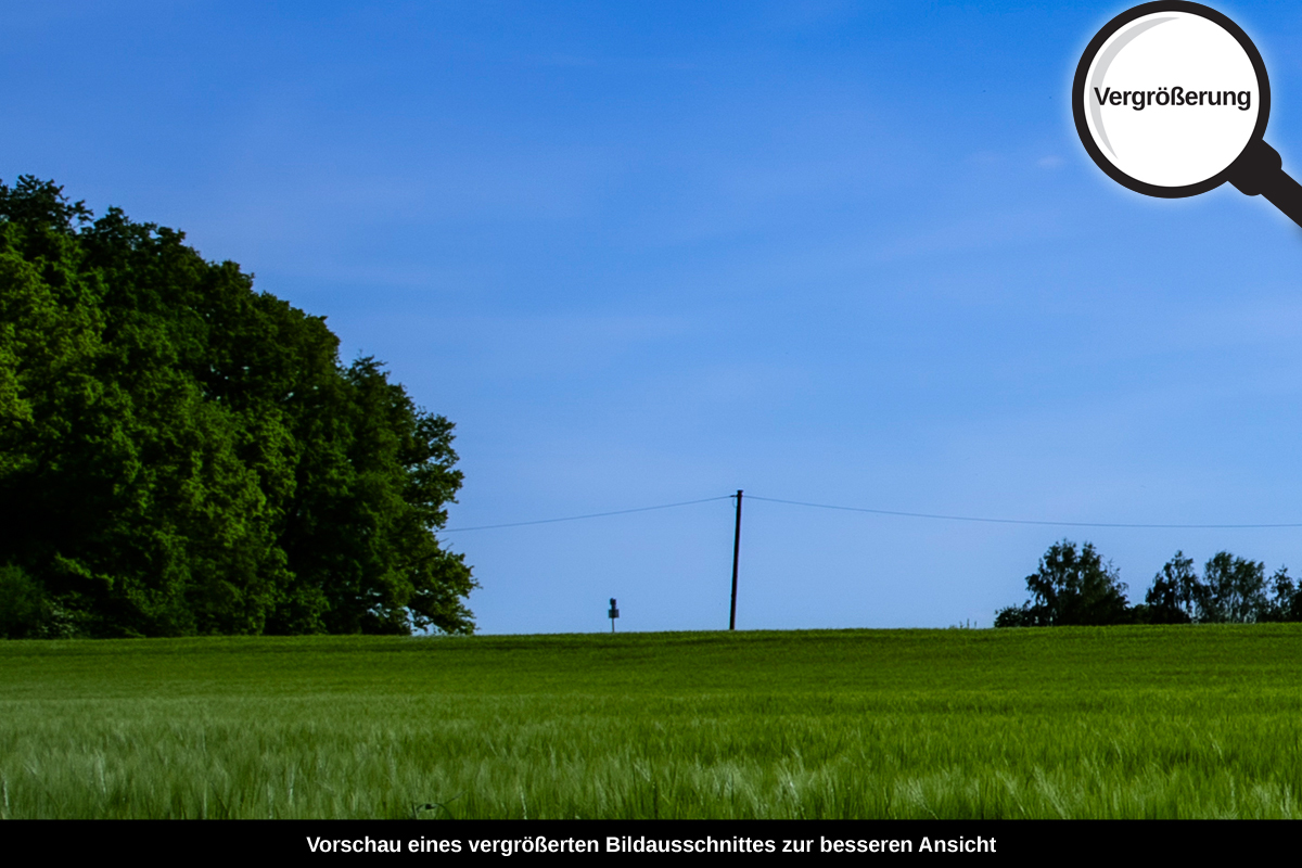 3-105-1188-bild-gross-gras-himmel-wolken_l