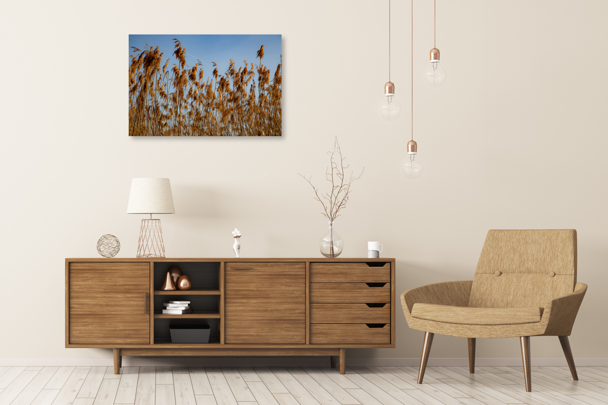 2-108-1095-schlafzimmer-natur-feld-freude-der-kunden-hochzeitsfotos_l