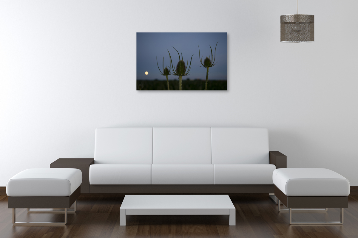 2-109-1115-wohnzimmer-hurra-blumen-mond-kuechenbilder-kunst-bilder-kaufen_l