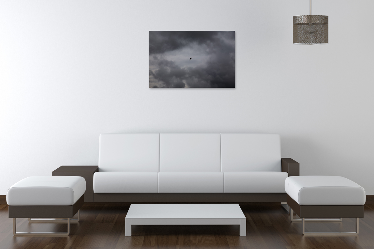 2-116-1142-wohnzimmer-vogel-flug-wolke-himmel-kunst-bilder-gerahmt_l