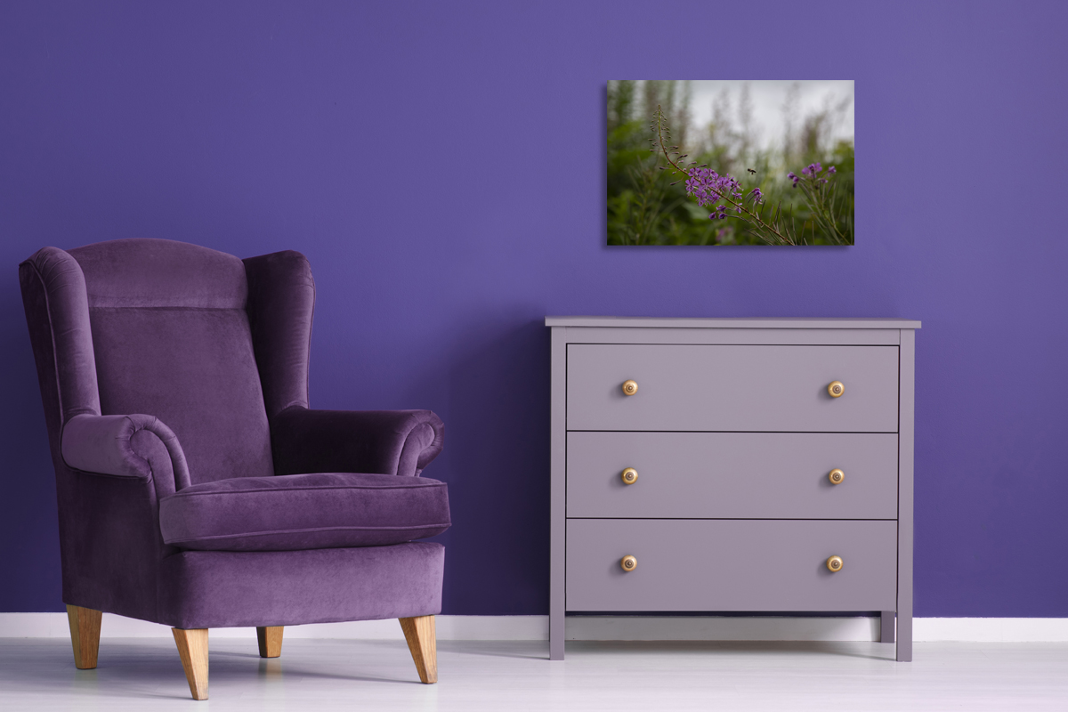 2-117-1143-schlafzimmer-insekt-blume-magenta-natur-gerahmte-bilder-digitaldruck_l