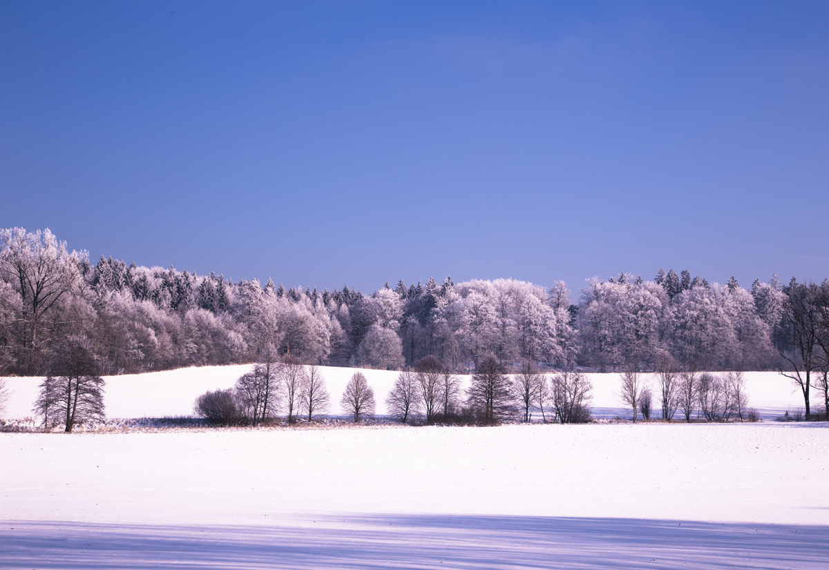 1-108-1375-wintermaerchen-frost-und-sonne-malerei-sonderanfertigungen_l