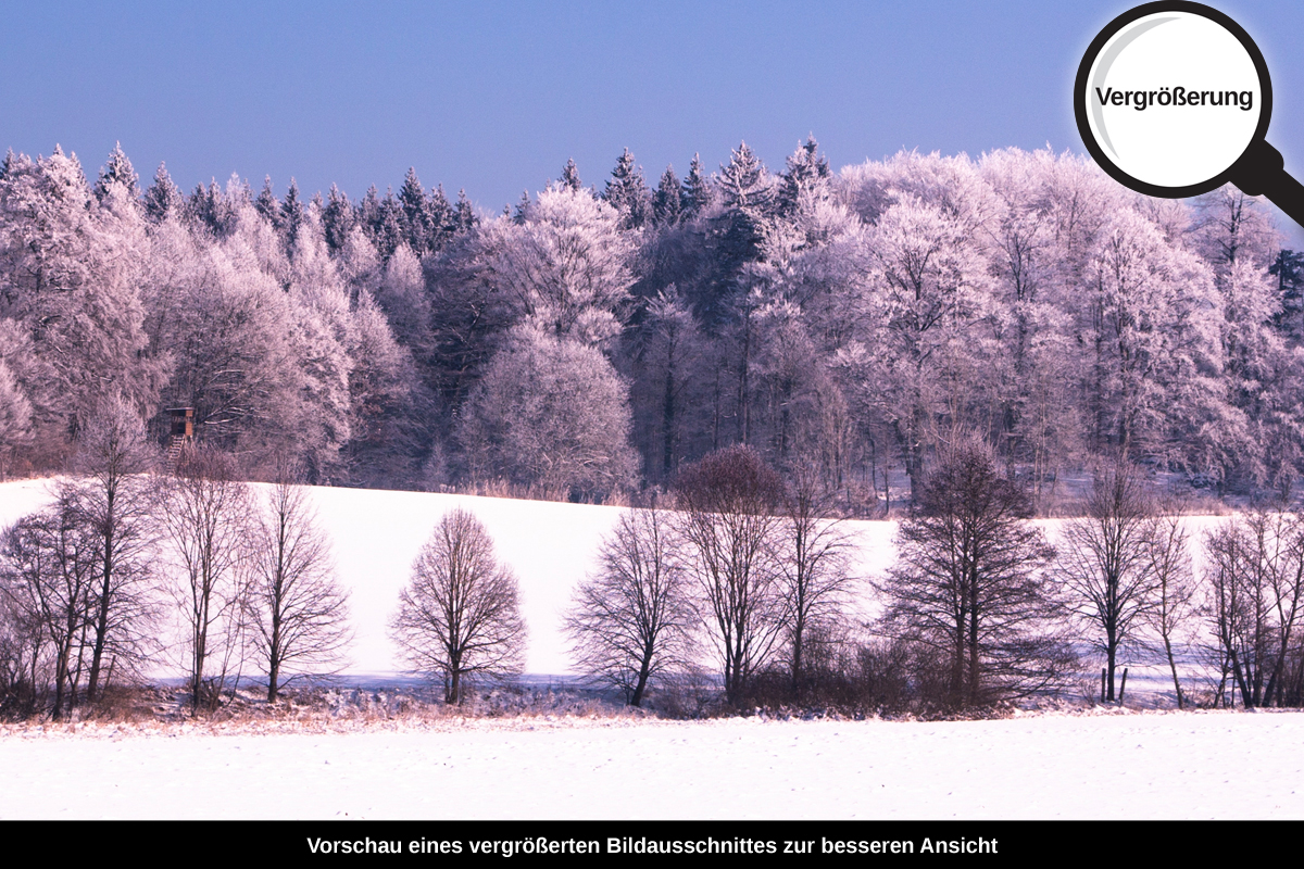 3-108-1375-bild-gross-wintermaerchen-frost-und-sonne_l