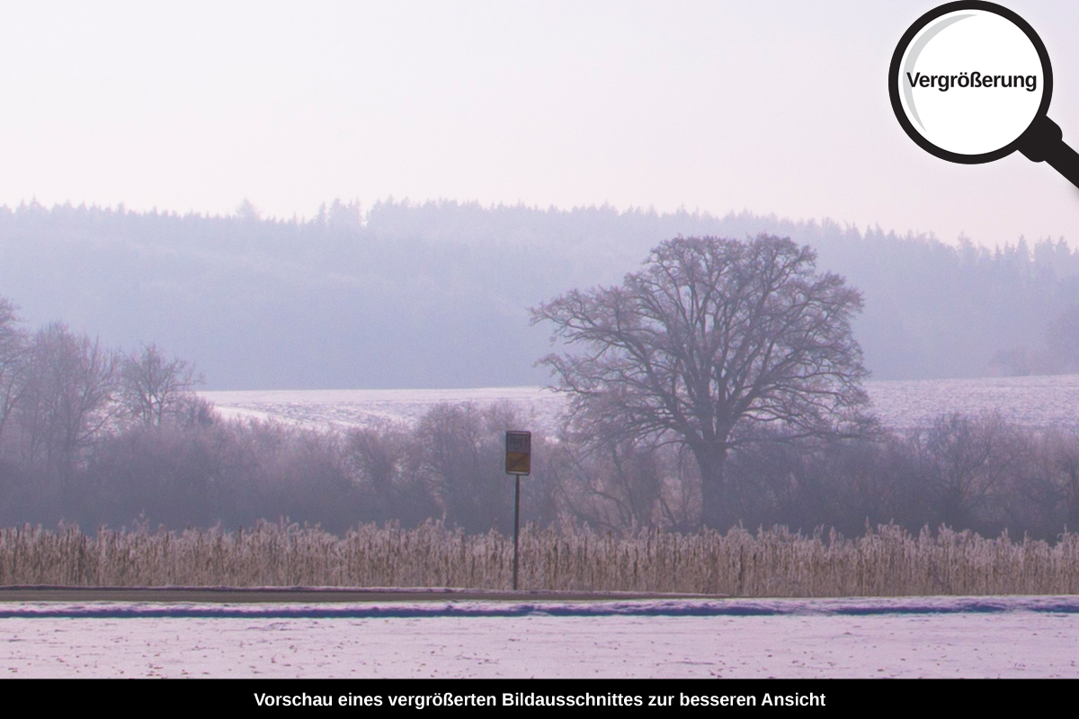 3-105-1365-bild-gross-winter-plattenland_l