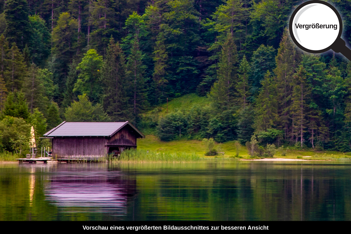 3-108-1265-bild-gross-einsam-urwald-wasserspiegel_l