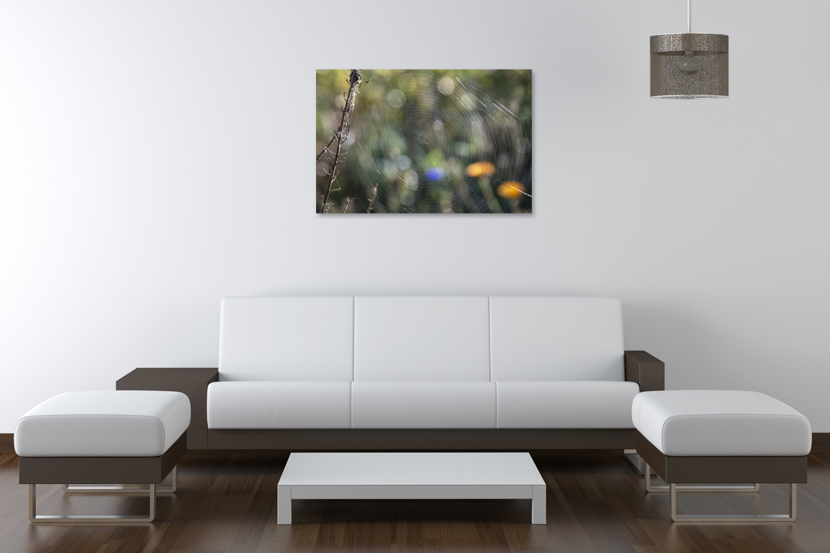 2-108-1269-wohnzimmer-spinngewebe-arbeit-duenn-jeglichen-rahmen-handsigniert_l