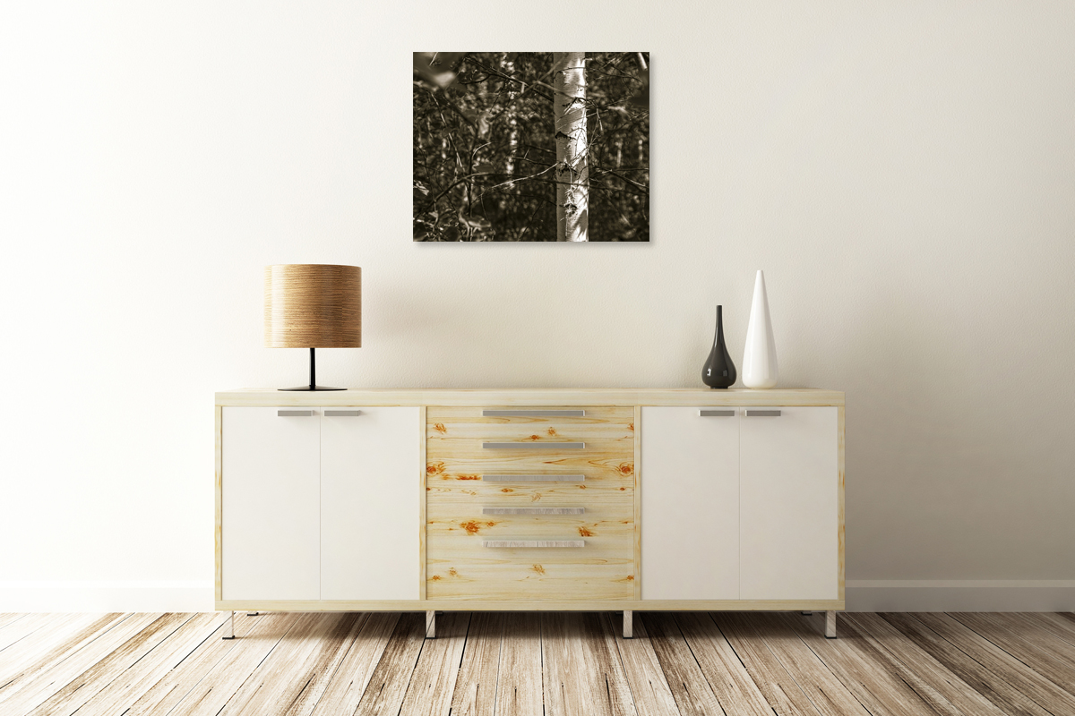 2-108-1376-wohnzimmer-birkengeholz-fruehling-natur-top-qualitaet-kuechenbilder_l
